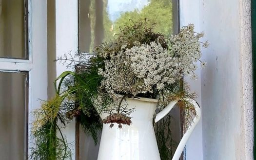 Ref 1897; Investition! Zu renovierende mallorquinische Finca in Palmas Genova zu verkaufen